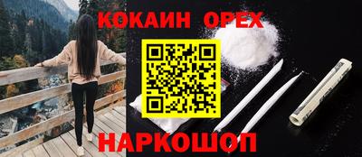 индика Будённовск