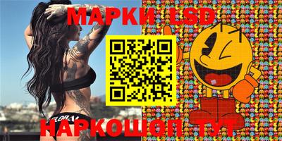 индика Будённовск