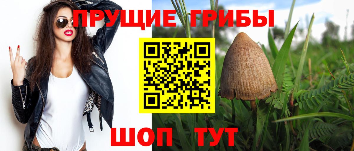 Галлюциногенные грибы MAGIC MUSHROOMS  Вход с VPN  Псилоцибиновые грибы прущие грибы  Усть-Джегута 